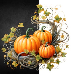 K&ouml;nnte beinhalten: Aquarellillustration von drei orangefarbenen K&uuml;rbissen mit gr&uuml;nen Stielen, umgeben von Ranken und Bl&auml;ttern. Die K&uuml;rbisse sind vor einem schwarz-wei&szlig;en Hintergrund platziert, der ein Herbst- oder Erntethema hervorruft.