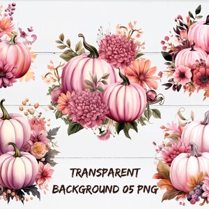 Könnte beinhalten: Aquarellillustrationen von rosa Kürbissen mit Blumenarrangements. Die Kürbisse haben grüne Stiele und sind von rosa und pfirsichfarbenen Blumen und Blättern umgeben. Der Text "TRANSPARENT BACKGROUND 05 PNG" befindet sich unten.