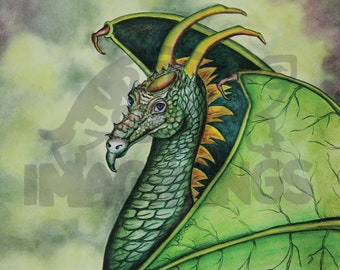 Forest Dragon Giclee prints