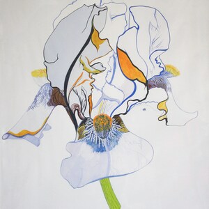 Iris Head - Limited Edition Print