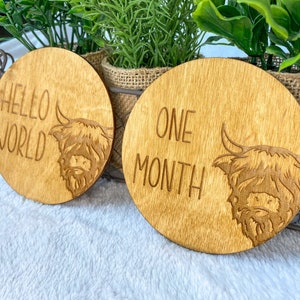 Highland Cow Monthly Milestone, Cow Photo Prop, Baby Milestone, Baby Shower Gift, Shaggy Cow Milestone Marker, Farm Milestone, cow nursery