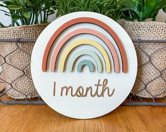 Boho Rainbow Baby Monthly Milestone Markers, Boho Baby Photo Prop, Baby Milestone, Baby Shower Gift, Colorful Rainbow Milestone Marker