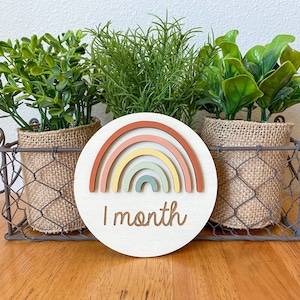 May include: A wooden circle with a rainbow design and the text "1 month" in brown script. The circle is surrounded by three potted plants in burlap pots.