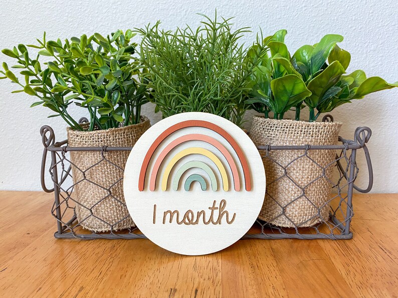 May include: A wooden circle with a rainbow design and the text "1 month" in brown script. The circle is surrounded by three potted plants in burlap pots.