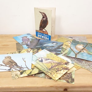 Cartoline sovietiche inutilizzate, set di 18, carte postali per uccelli antichi, cartoline postali vintage, made in USSR, Lettonia sovietica, dal 1978, oggetto da collezione
