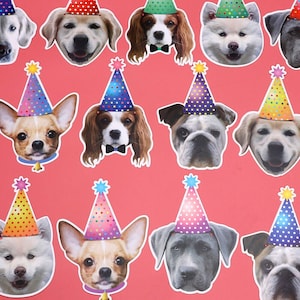 Dog birthday flag, dog birthday banner, dog birthday, dog birthday decor, dog birthday bunting, dog birthday face banner, puppy party