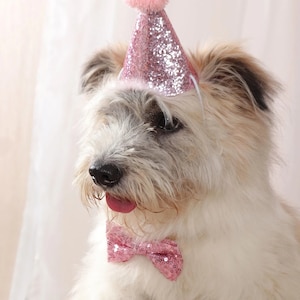 Dog birthday hat and bow tie, dog birthday hat, dog birthday crown, girl dog birthday, boy dog birthday, gift for dog, dog birthday, dog hat