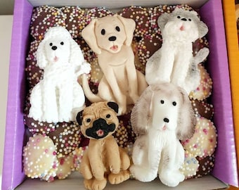 Dog Treat Box - Chocolate Snack - Pug, labrador, poodle, shih tzu, weimaraner dogs - Treats birthday get well soon, gotcha day, any occasion