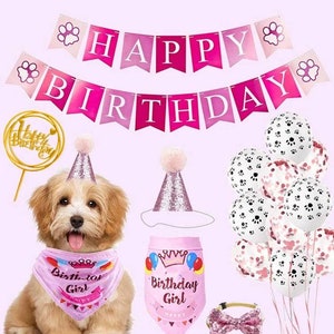Chapeau et bandana d'anniversaire de chien, noeud papillon d'anniversaire de chien, fille d'anniversaire de chien, garçon d'anniversaire de chien, accessoires d'anniversaire de chien, anniversaire de chien, fête de chien