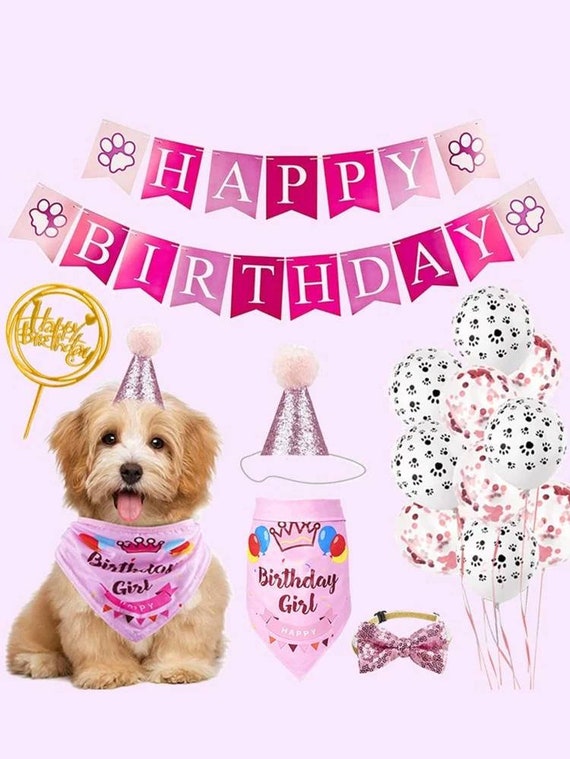 dog birthday tie