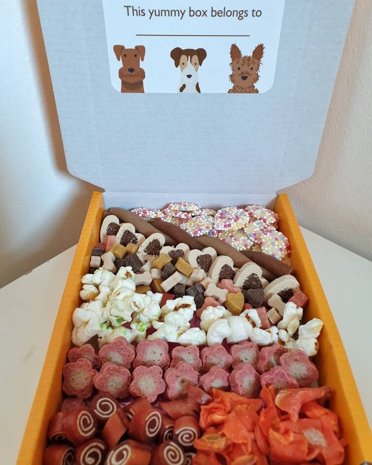 Gotcha Day Dog Treat Box - Personalised Letterbox Gift - Birthday Get ...