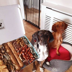 May include: An open white box with a variety of dog treats, including jerky and chews. Two dogs, one brown and white spotted, the other solid brown, sit near the box. The box has the word "RAZE" on it.