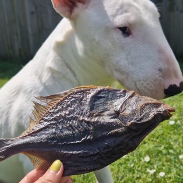 Flounder dog treat, healthy dog treat, whole fish dog treat, natural dog treats, fishy dog treats, air dried dog treats, dog treat, dog gift