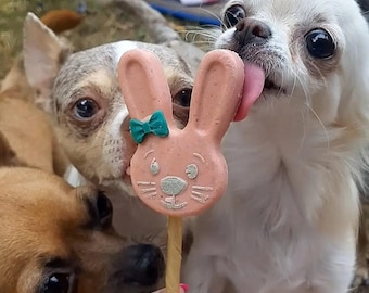 DOG EASTER TREATS | easter biscuits for the dog, easter chocolate for the puppy, grain free biscuits for the dog, easter bunny, easter dog