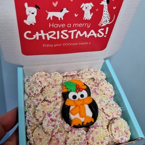 Dog Treat Box, Christmas treats, chocolate for dogs, puppy&#39;s first Christmas, stocking filler, dog treats for Christmas, dog lover gift