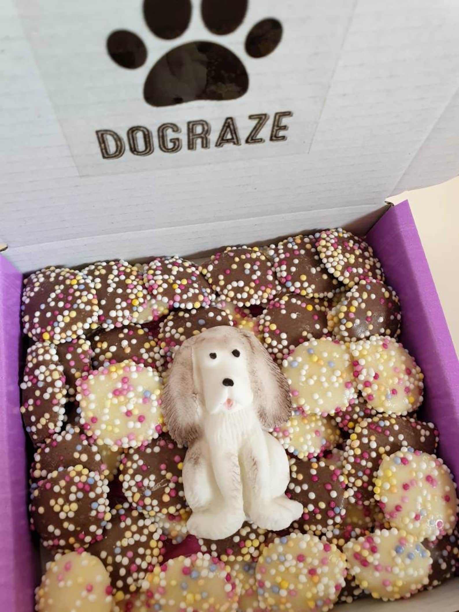 Hunde Leckerli Dose Schoko Snack Mops Labrador Pudel Etsy