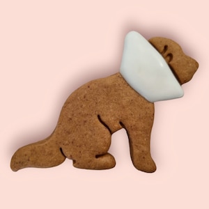 NEUHEIT HUNDKEKS | Gute Besserung Geschenk, Hundekekse, getreidefreie Kekse, Hundekekse, Hundekekse, Hundekekse, Hundekekse