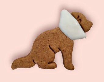 NOVELTY DOG BISCUIT | get well soon dog gift, cone of shame, grain free dog biscuits, gifts for dogs, birthday dog treats, natural dog treat