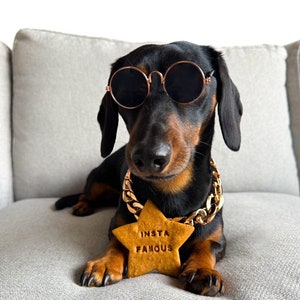 DOG INSTAGRAM MILESTONE / regalo para perros, golosinas para perros sin cereales, golosinas naturales para perros, golosinas caseras para perros, galletas para perros hitos de instagram
