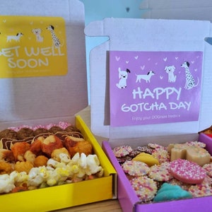 Gotcha Day Dog Treat Box - Personalised Letterbox Gift - Birthday Get ...