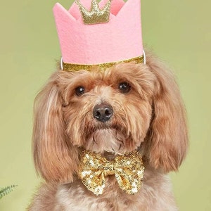 DOG BIRTHDAY CROWN | dog birthday hat, dog birthday bow tie, gift for dog, dog birthday, dog accessories, dog clothing, dog party, puppy hat