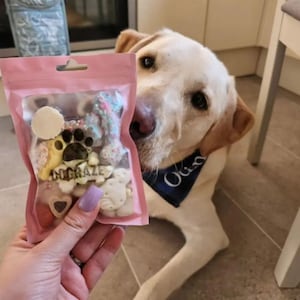 BIRTHDAY DOG TREATS | Pick n mix dog treats, puppy treat, dog birthday party, gotcha day treat, get well soon dog treat, natural dog treats