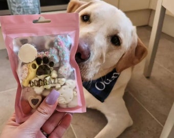 GEBURTSTAG HUND LECKERUNGEN | Pick n mix Hunde Leckerli, Welpen Leckerli, Hunde Geburtstagsparty, Gotcha Day Leckerli, gute Besserung Hunde Leckerli, natürliche Hunde Leckerlies