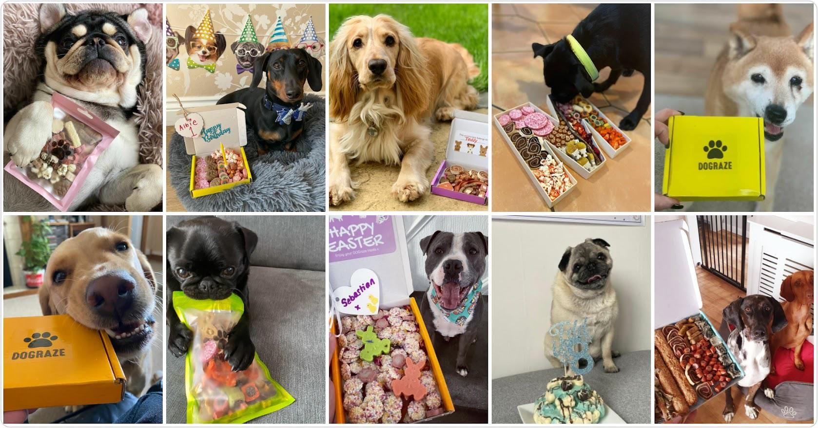 断捨離様 リクエスト 5点 まとめ商品【公式通販】 happy-buddy dog様 