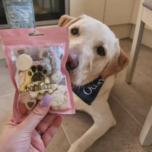 May include: A pink bag of dog treats with the text "DOGRAZE" and a paw print design. The treats are various shapes and colors. A yellow Labrador Retriever dog is in the background.