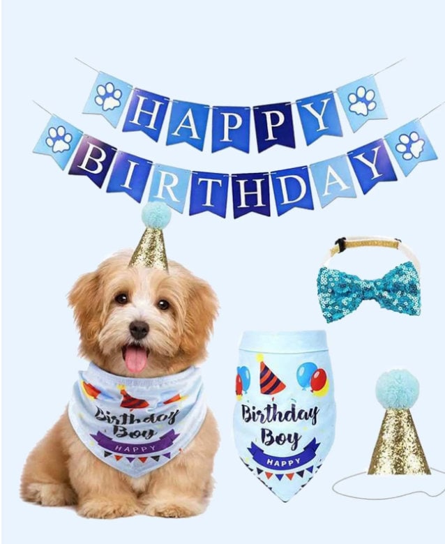Classicseali Hundebedarf Geburtstagsdeko – Set Mit Partyhut, Bandana, Fliege & Zahlen Für Kleine Bis Große Hunde