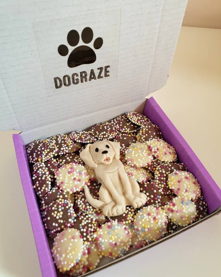 Hunde Leckerli Dose Schoko Snack Mops Labrador Pudel Etsy