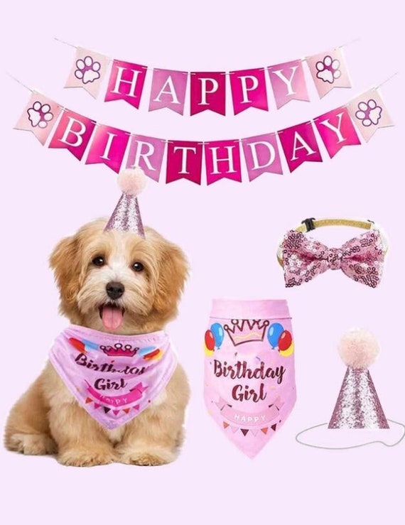 Haustier Geburtstags Set - Verstellbare Mütze & Bandana Für Hunde & Katzen