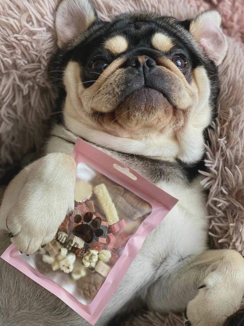 May include: A tricolor pug dog is lying down, holding a pink bag of dog treats. The bag has a paw print design and the text "DOG SIZE". The dog is resting on a fluffy, light brown surface.