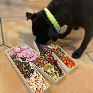 Birthday Dog Treats, gotcha day dog treat, personalised birthday dog treats, special occasion dog treat, puppy birthday, get well soon treat