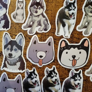Adesivi husky, adesivi per cani husky, decalcomanie per cani, adesivi per cani, adesivi per telefono, adesivi per laptop, adesivi per razze canine, decalcomanie, Alaskan Malamute