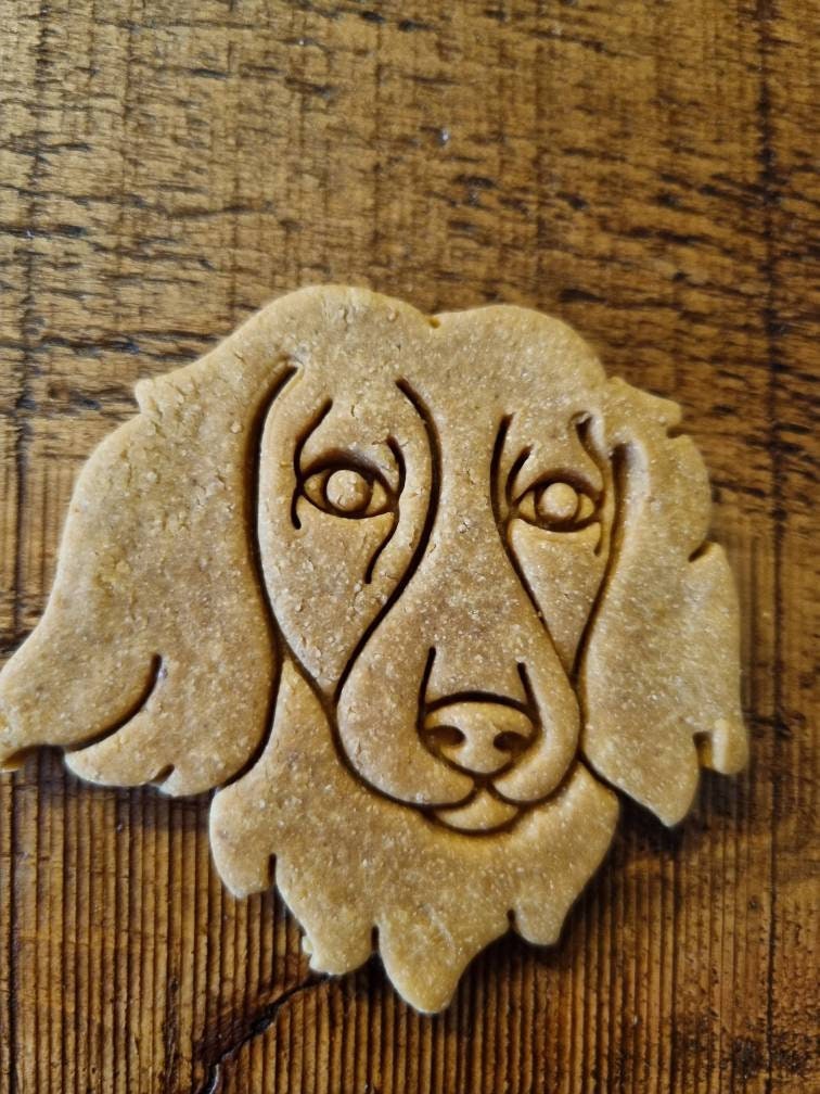 Dachshund Biscuits Etsy UK