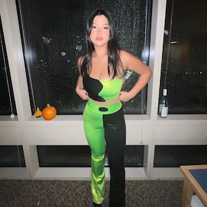 Adult 2024 shego costume