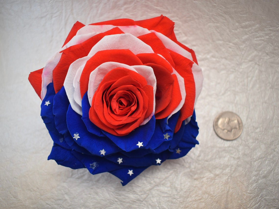 Real Jumbo Preserved Rose American Flag Themed Etsy