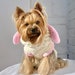 see more listings in the Dog Clothes  section