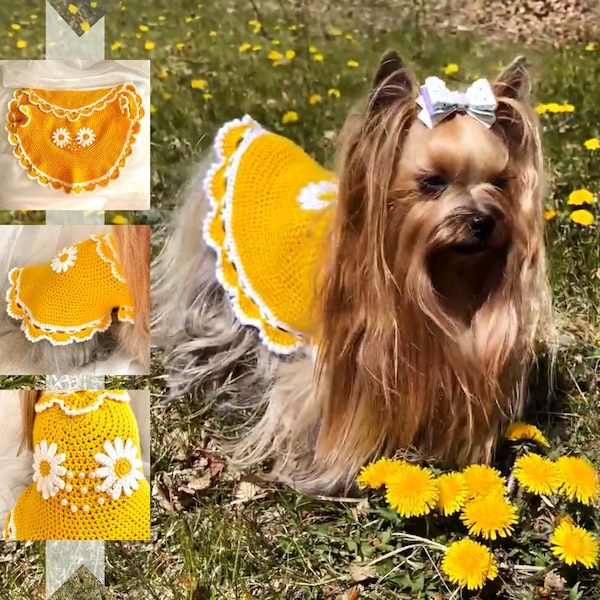 GEHAAKTE hondenjurk patroon, kleine huisdierkleding haakpatroon voor Yorkie, Shih Tzu, Pommeren - hondentrui haakpatroon - PDF-bestand