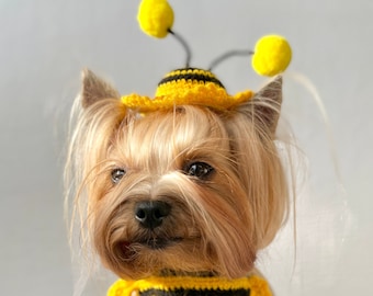 Crochet Dog Clothes Patterns: Pet Photo Accessories (PDF File)