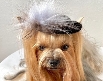 Dog crochet hat, pet accessories pattern, small costume, photo shoot headband/ printable PDF