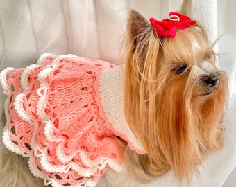 Crochet Pattern Dog Dress and Dog Hat - Small Pet Clothes Pattern for Yorkie, Shih Tzu, Pomeranian - Dog Sweater Crochet Pattern - PDF File