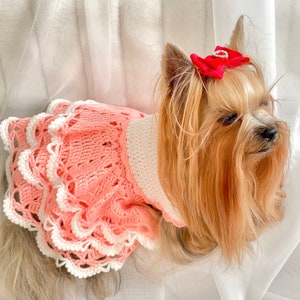 Plus size christmas cat dress new arrivals