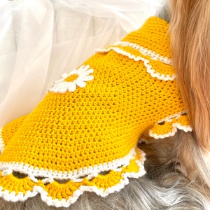 Crochet Dog Sweater Dress Pattern for Small Breed Dogs