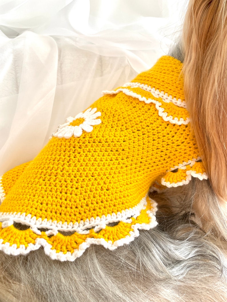 Crochet Dog Sweater Dress Pattern for Small Breed Dogs