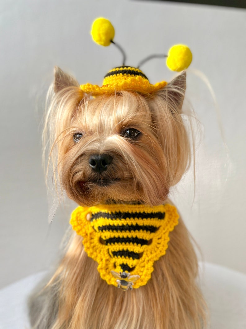 Crochet Dog Hat Pattern for Small Breed Dogs