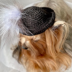 Crochet Dog Hat Pattern for Small Breed Dogs