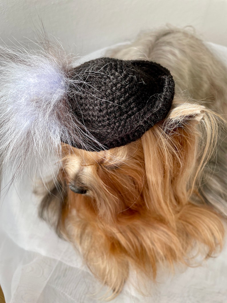 Crochet Dog Hat Pattern for Small Breed Dogs