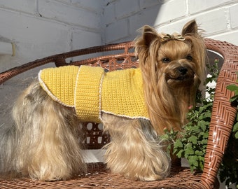 Crochet Dog Vest Pattern - Crochet Pattern for Small Dog Clothes, Pet Sweater DIY - PDF File